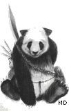 Leixer