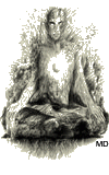 Marvolo