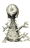 fiju