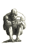 Seimich