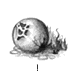 Zyrxae